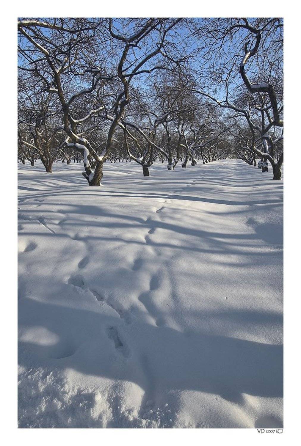 , Виктор Державин