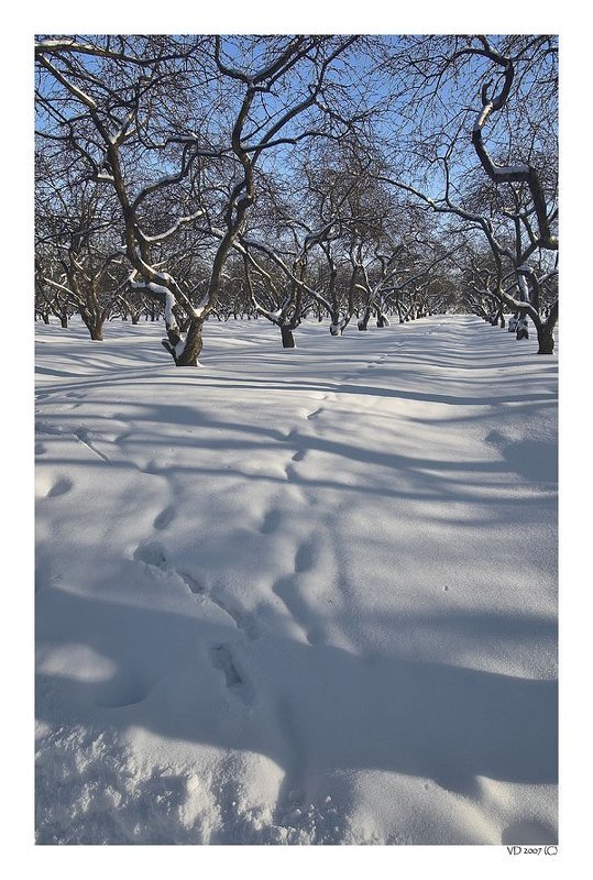 Коломенское. Хитросплетения фото превью