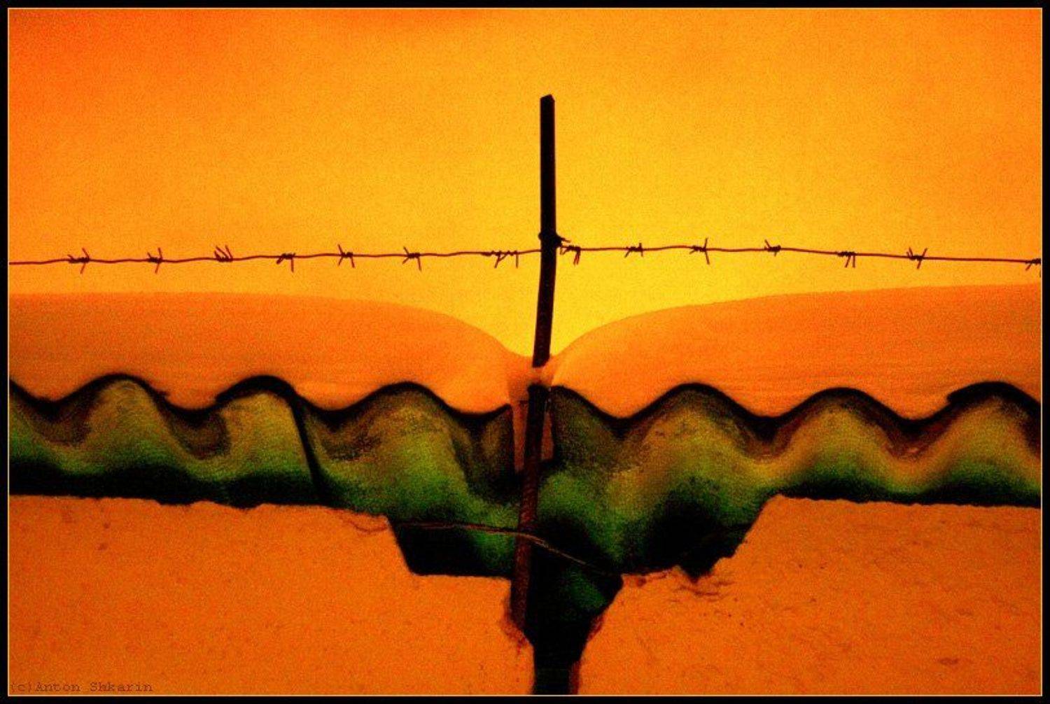 , Антон Шкарин