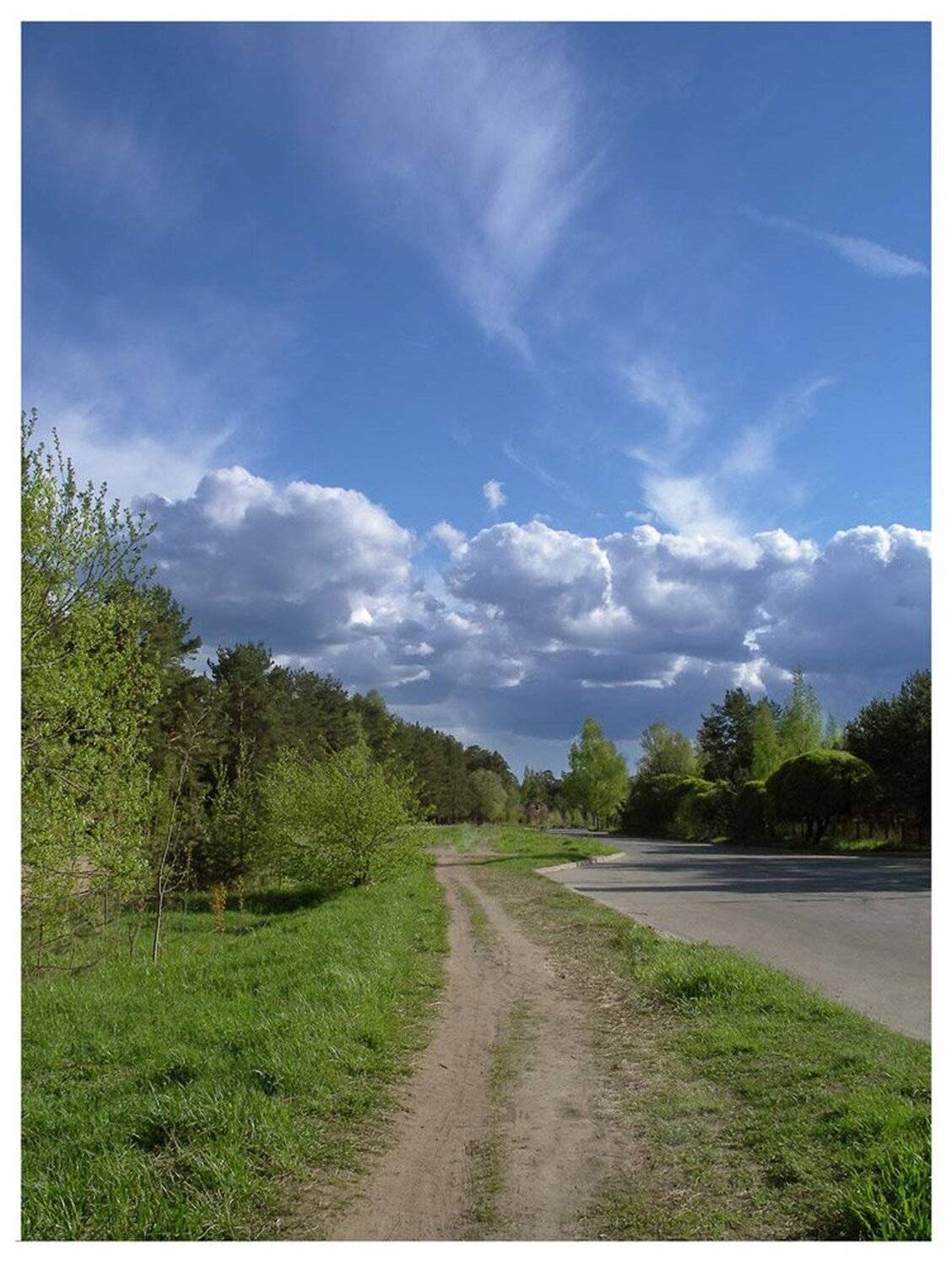 , Антон Сливкин