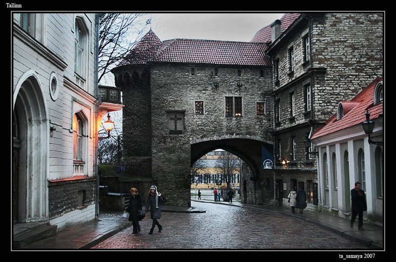 таллин Толстая Маргарита фото превью