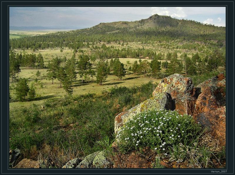 Глоток Гармонии фото превью