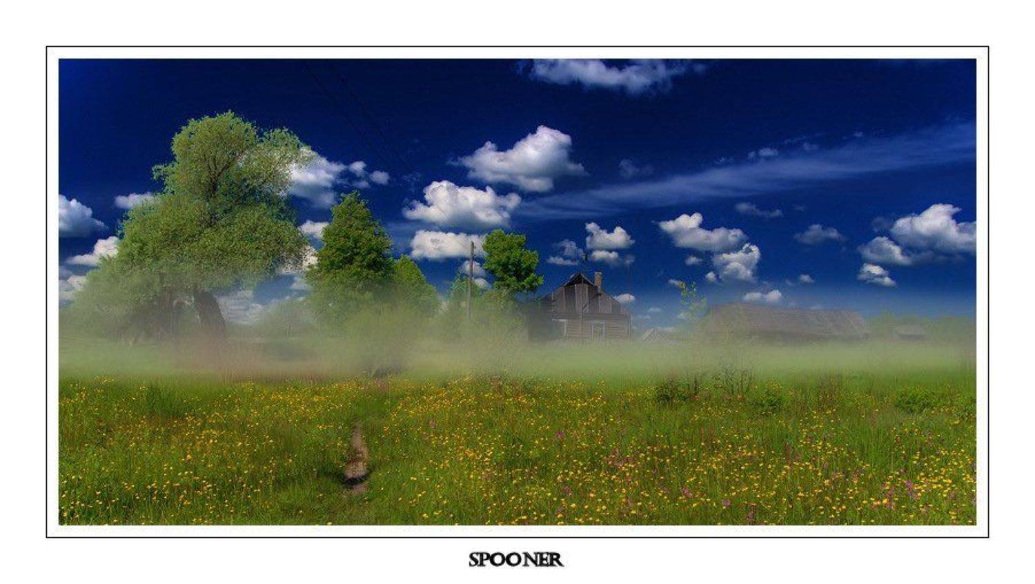 Хочу лето!, spooner