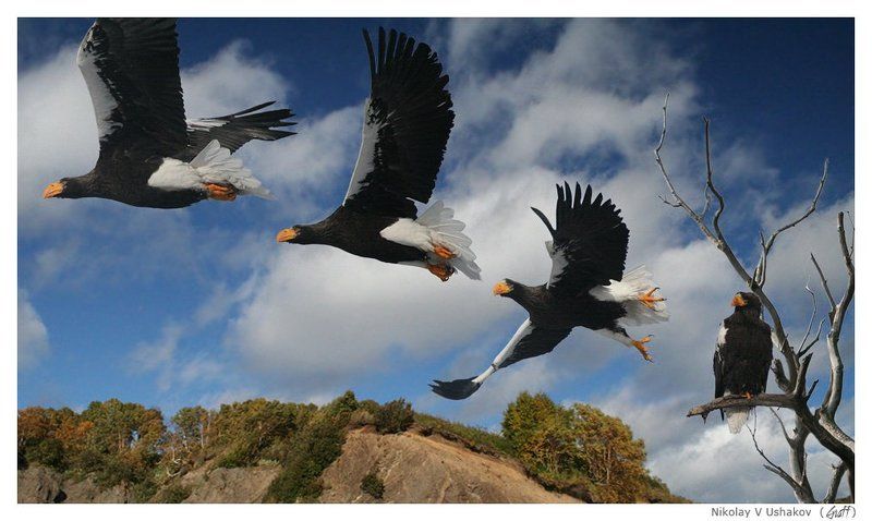 Две секунды - вечность! фото превью