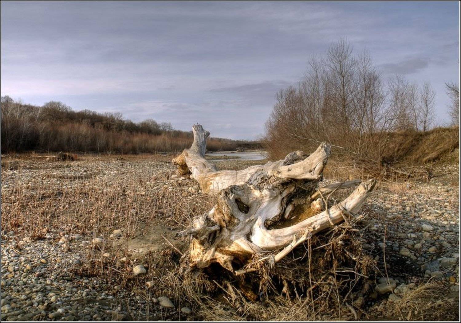 горная, река, дерево, стихия, белая, Alex Sheptl