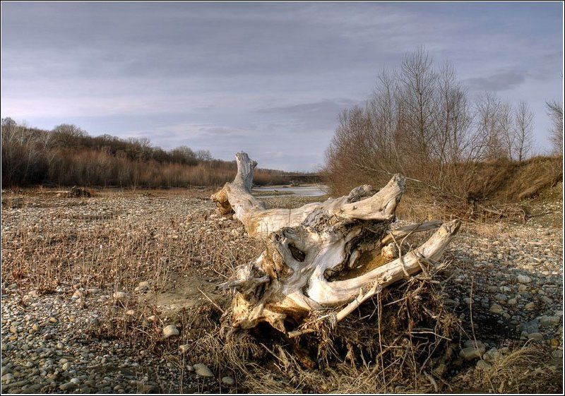горная, река, дерево, стихия, белая Жертва стихии фото превью