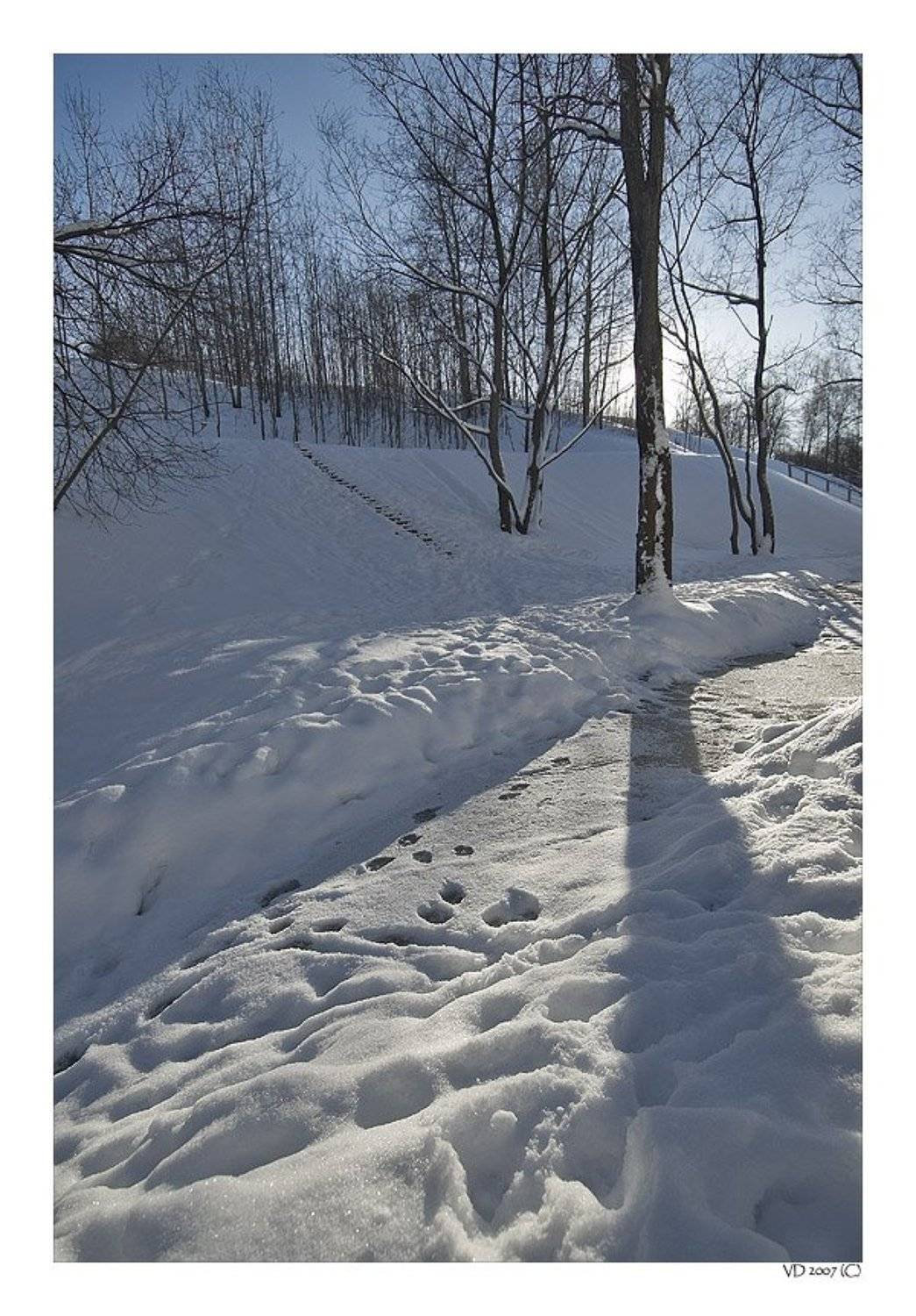 , Виктор Державин