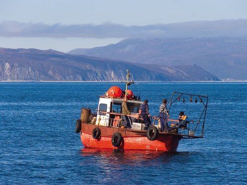 Где же рыба?