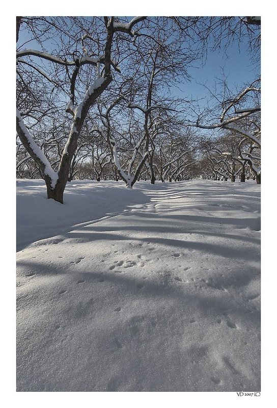 Коломенское.Фактура фото превью