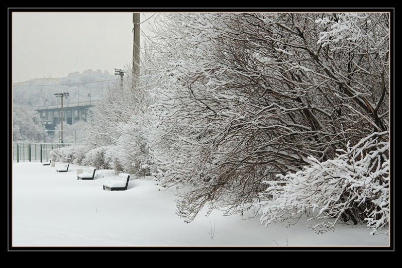снег, зима, воробъевы горы Снег. Москва фото превью