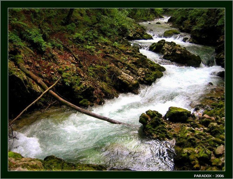 Словения, Винтгар,ущелье,водопад, лес,ветки,крест,PARADOX Хроника старинного ущелья, или осененное крестом фото превью