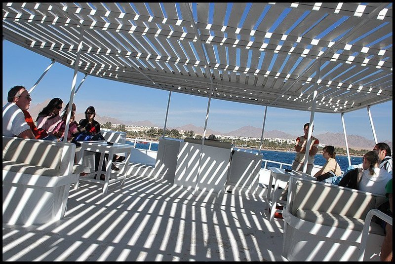 Египет Полосатый рейс фото превью