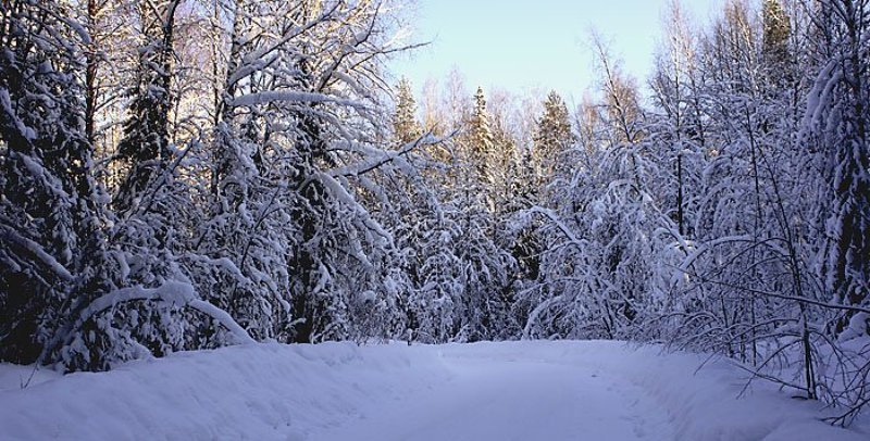 снег Коми мороз Снег на повороте фото превью