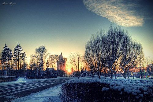 Про дерево с начесом