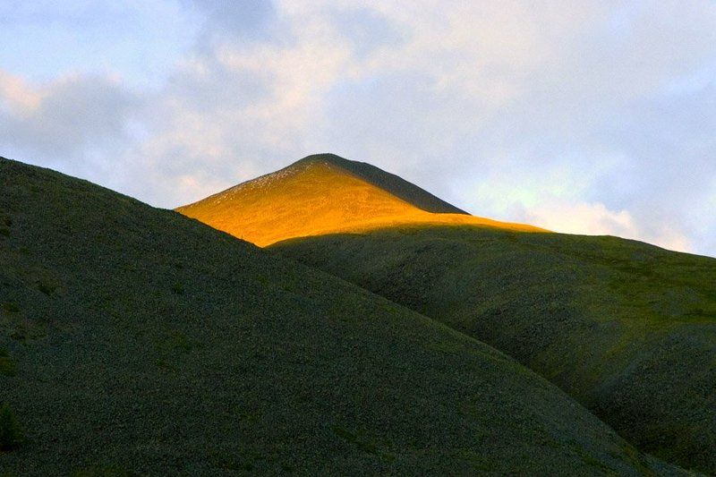 Алтай, Кедровые стоянки На исходе дня фото превью