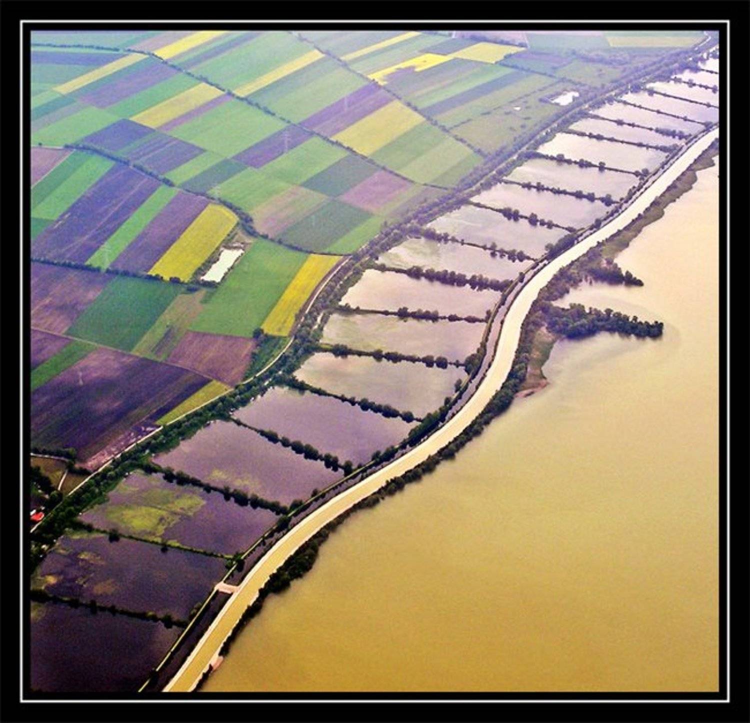 , Раевская Ольга