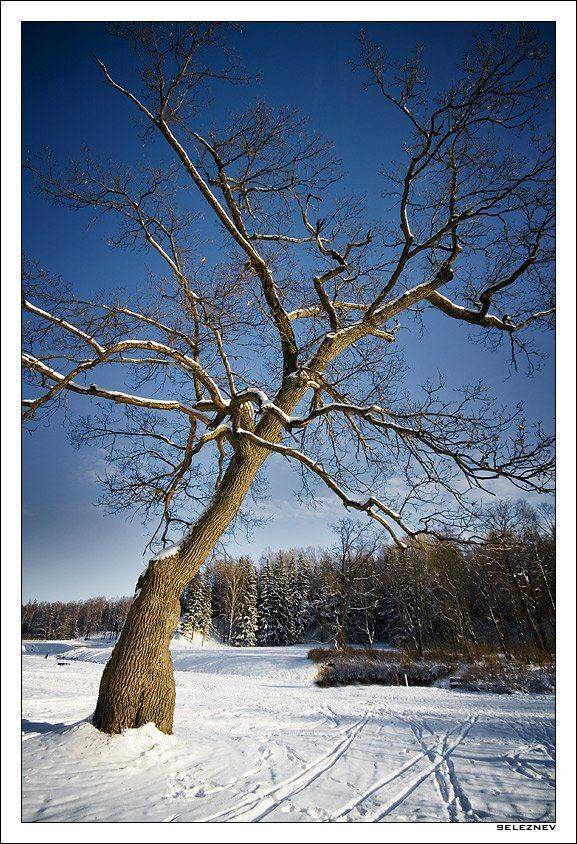 банальщина, seleznev
