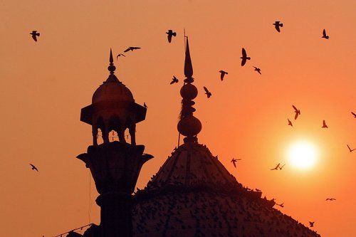 Jami Mosque, Old Delhi