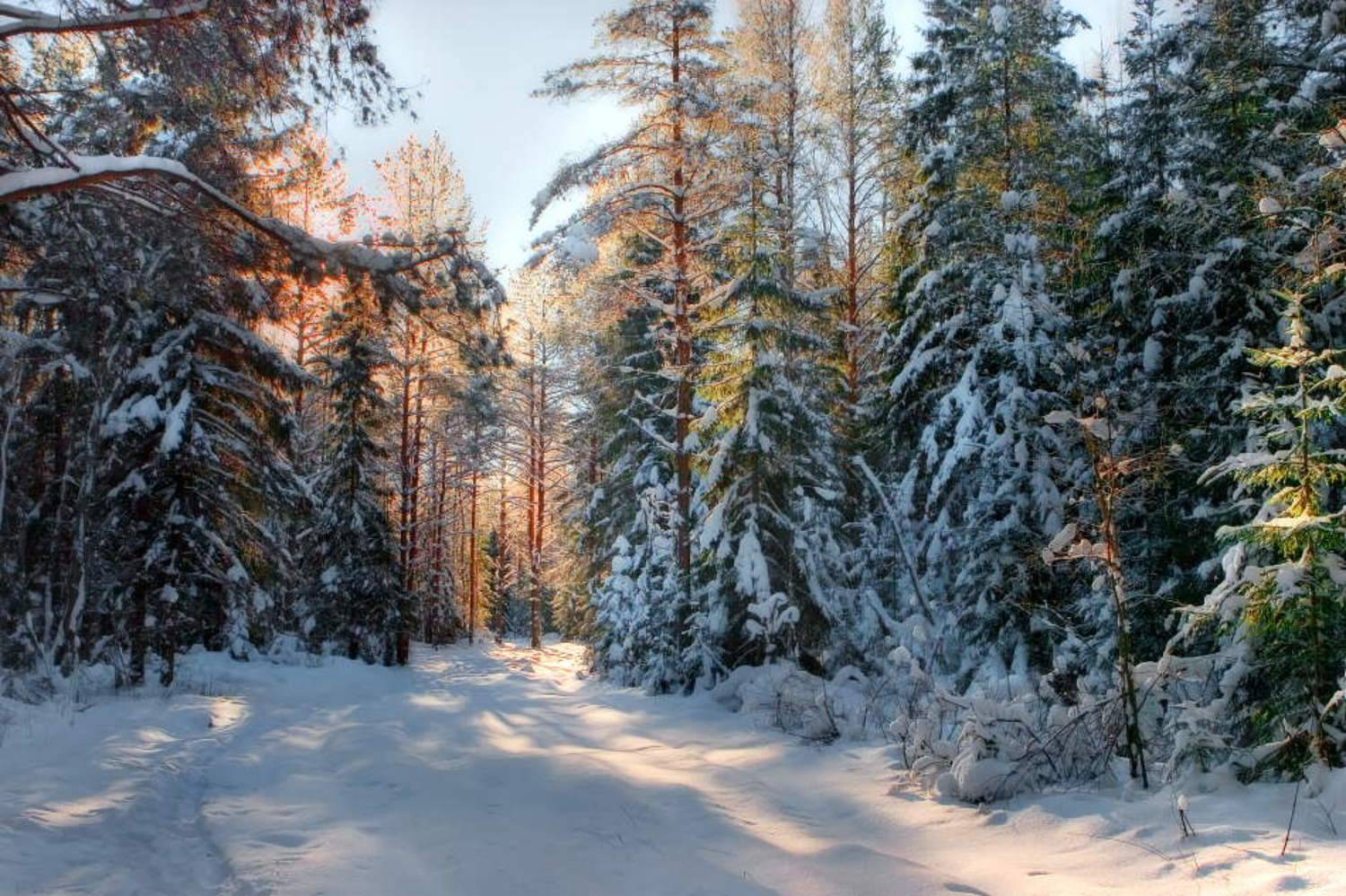 , Владимир Липецких