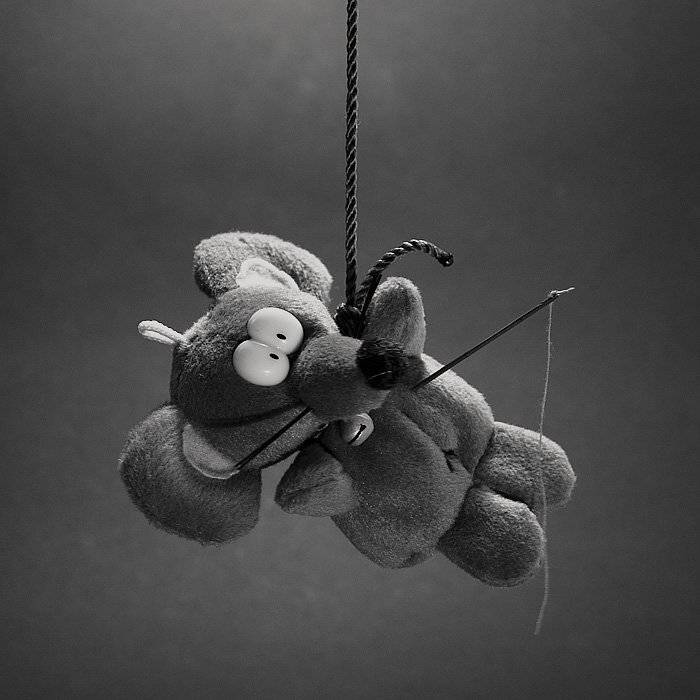 мышь повесилась, Дмитрий Плотникофф