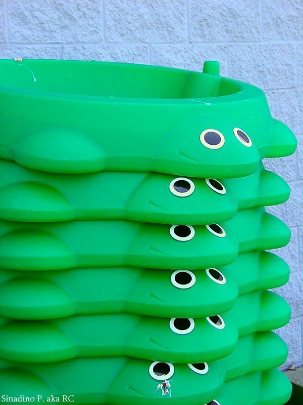 Лягушки Frogs фото превью