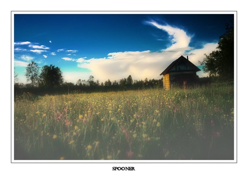 Утро фото превью