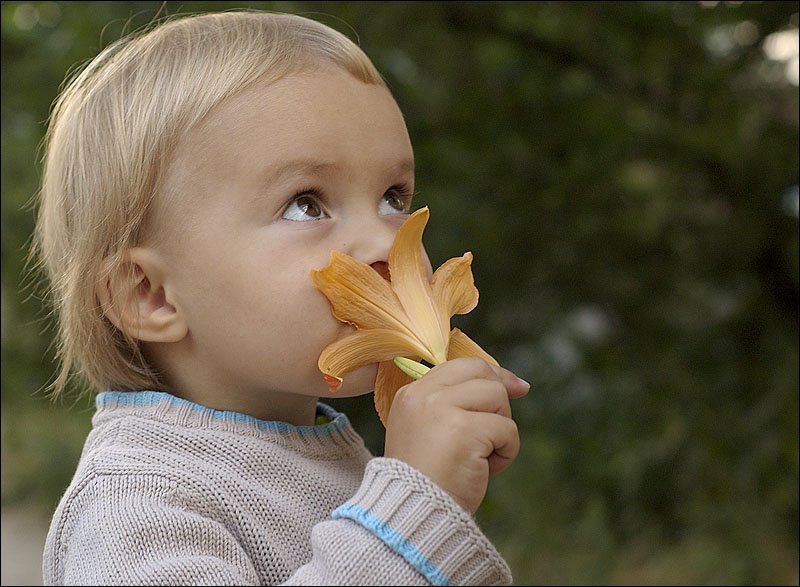 девочка, Аня, цветок *** фото превью