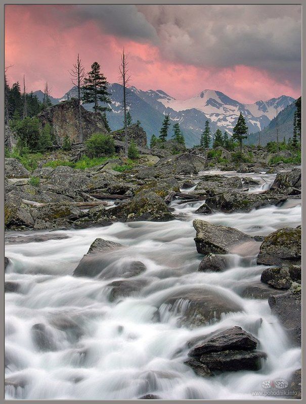 Шумы фото превью