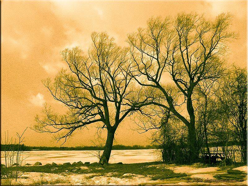 Портрет, Двое, Pilgrim