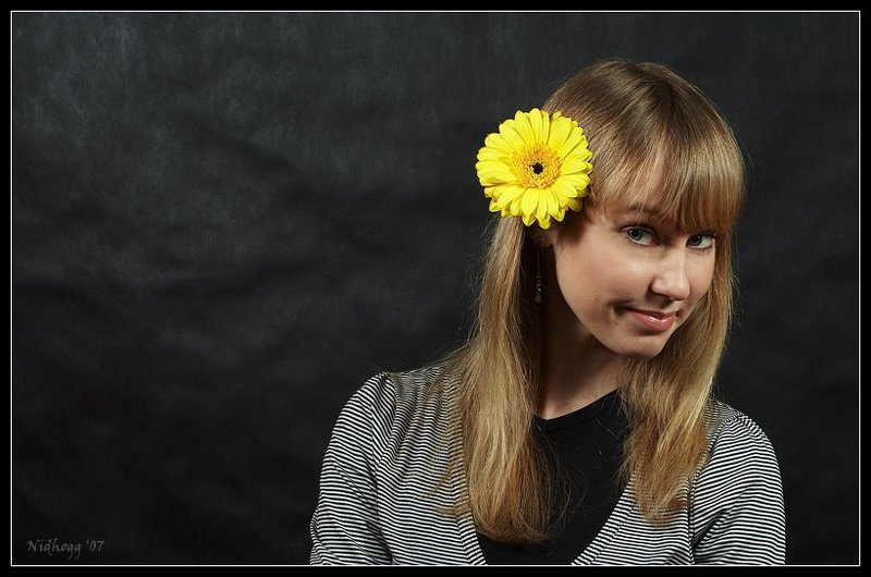 Гербера... фото превью