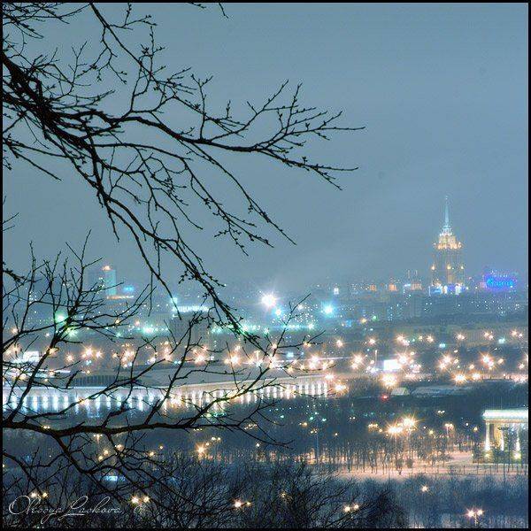 город, Москва, вечер, огни, Воробьевы горы, Олеся Ласкова