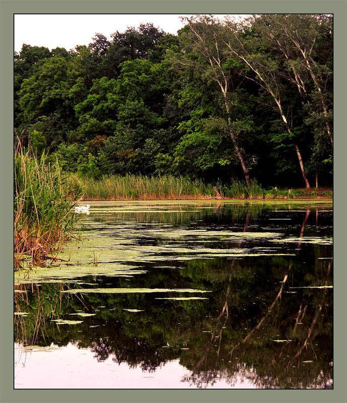 Умиротворение фото превью