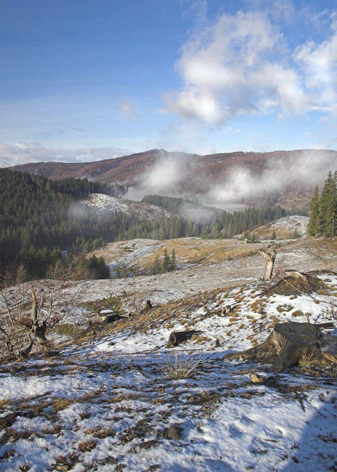 карпаты, горы, SlavaKuznetsov