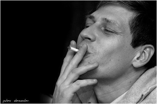 вышел Ежик из тумана...