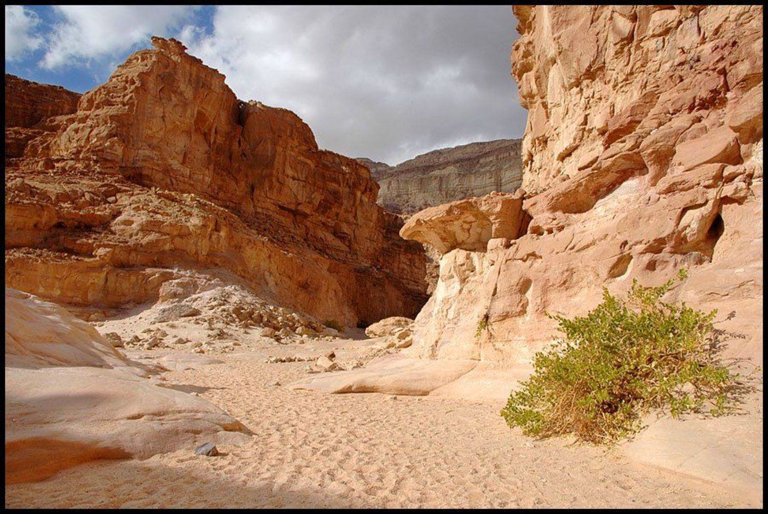 Египет, ВладимирКо