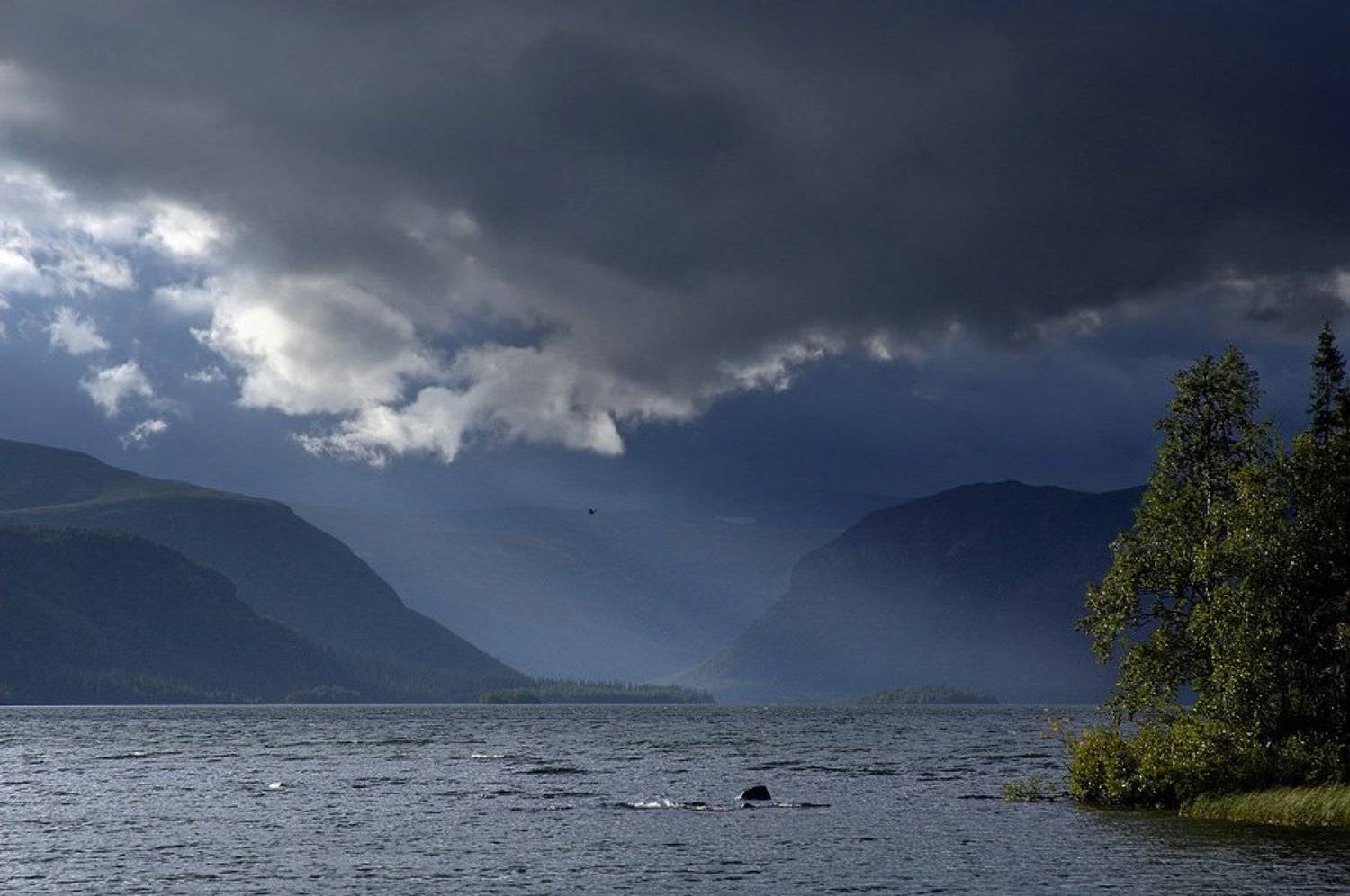 кольский ,сейдозеро, Dmitriy Egorov