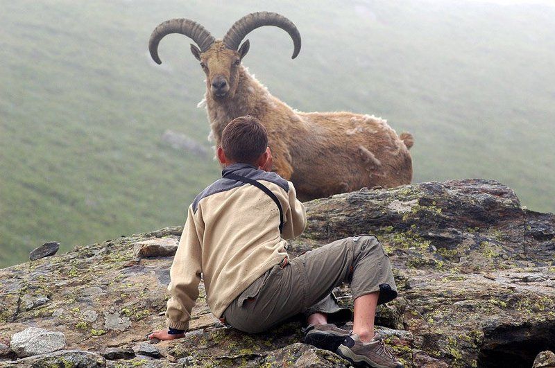 Фотограф и модель фото превью