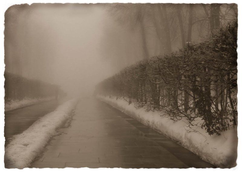 туман --- фото превью