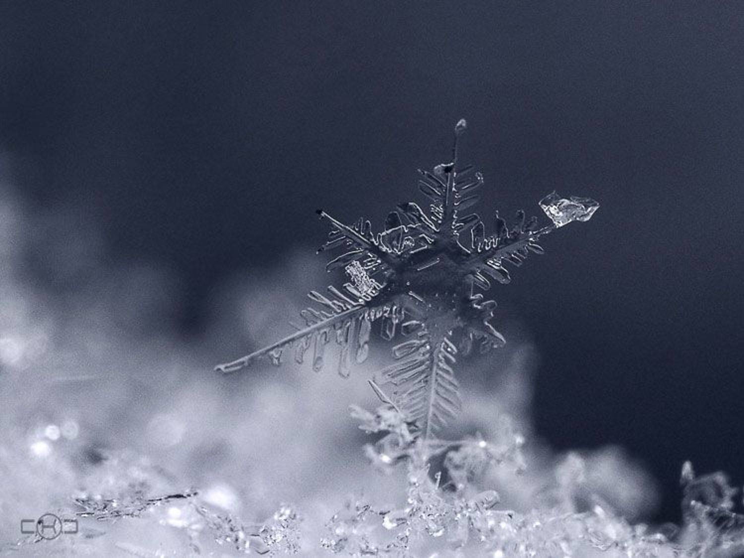 снег снежинка зима, C.K.C