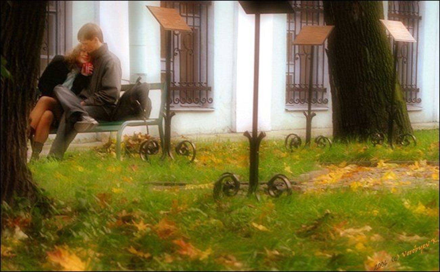 пара, нежность, тепло, Трев