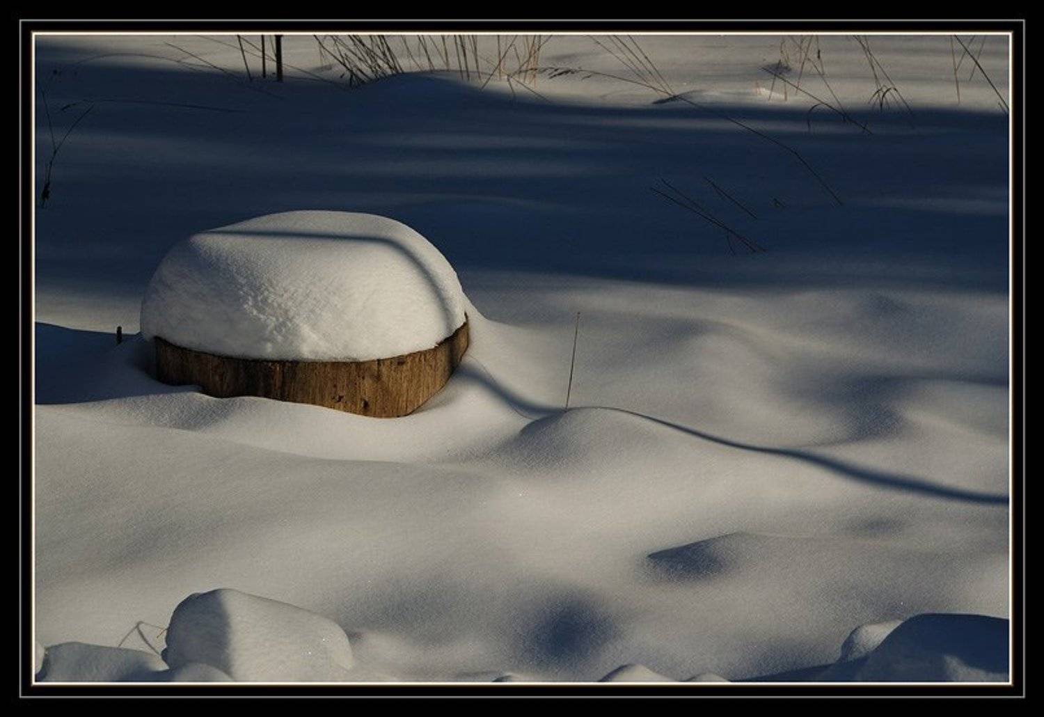 снег, зима, солнце, пень, Капустин Николай