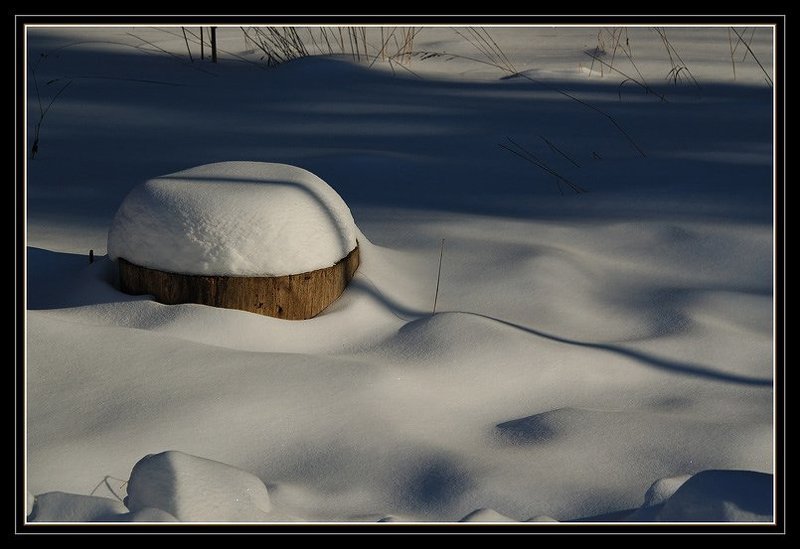 снег, зима, солнце, пень Шапка фото превью
