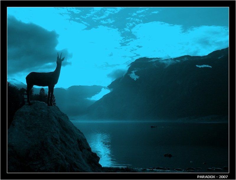 Словения Бохинь озеро вечер лодка PARADOX Вечерняя мелодия для серны фото превью