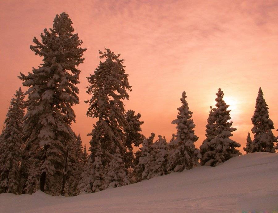Бурятия, зима, дерево, закат, Олег Шубаров