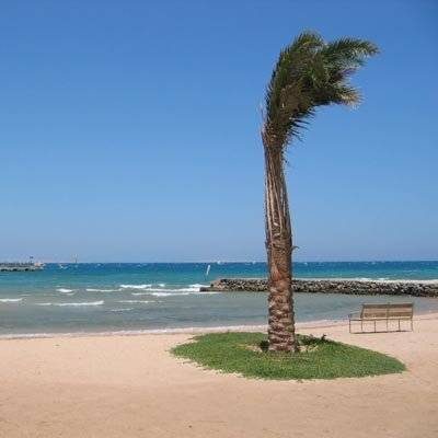 океан, море, пляж, пальма, скамейка, ветер, береза, Vincent