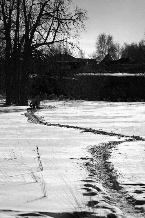 Суздаль, Tikotta