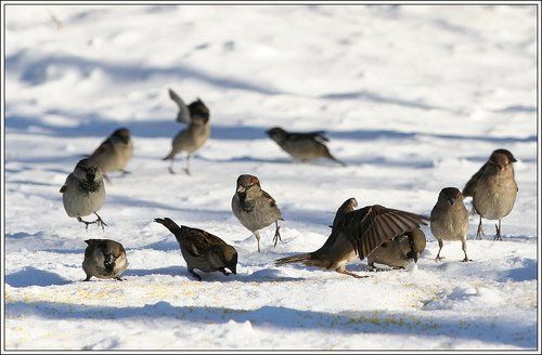 ... я прикрою!