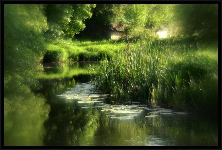 лето монокль, jouris