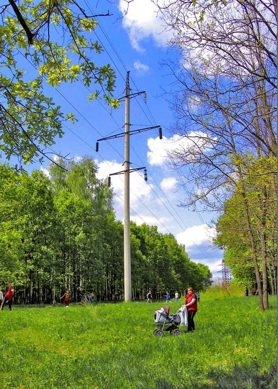 Лес, ЛЭП, мать, коляска, Владимир Под солнцем Чубайса фото превью