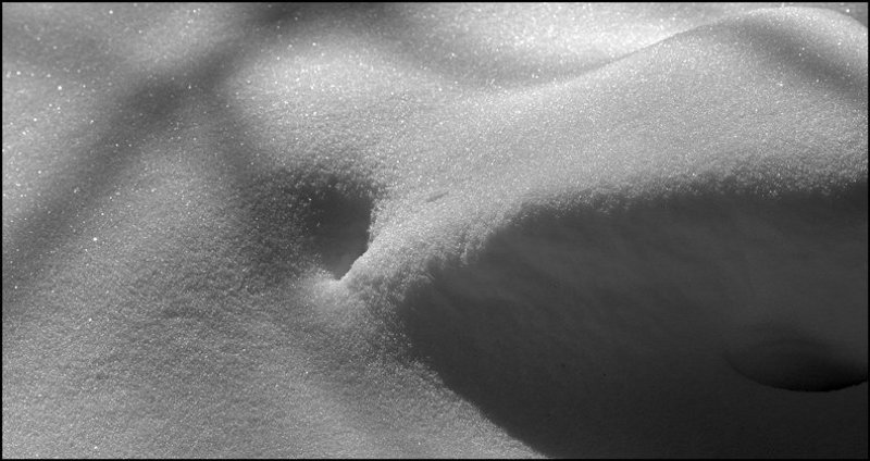 снег, замерз, кто-то Nude? фото превью